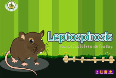 Leptospirosis1-1